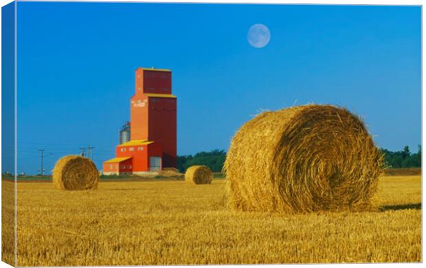 Straw Bales and Old Grain Elevator Canvas Print by Dave Reede