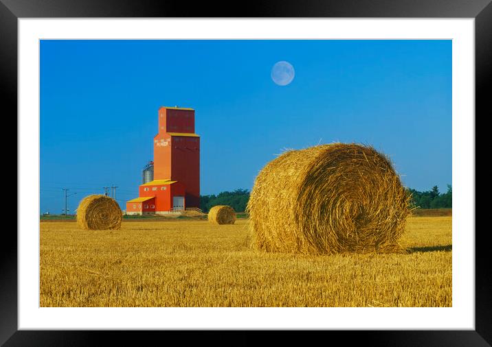 Straw Bales and Old Grain Elevator Framed Mounted Print by Dave Reede