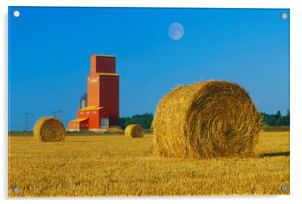 Straw Bales and Old Grain Elevator Acrylic by Dave Reede