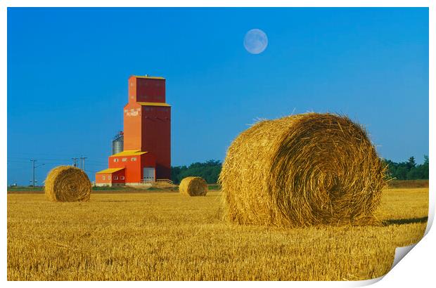 Straw Bales and Old Grain Elevator Print by Dave Reede