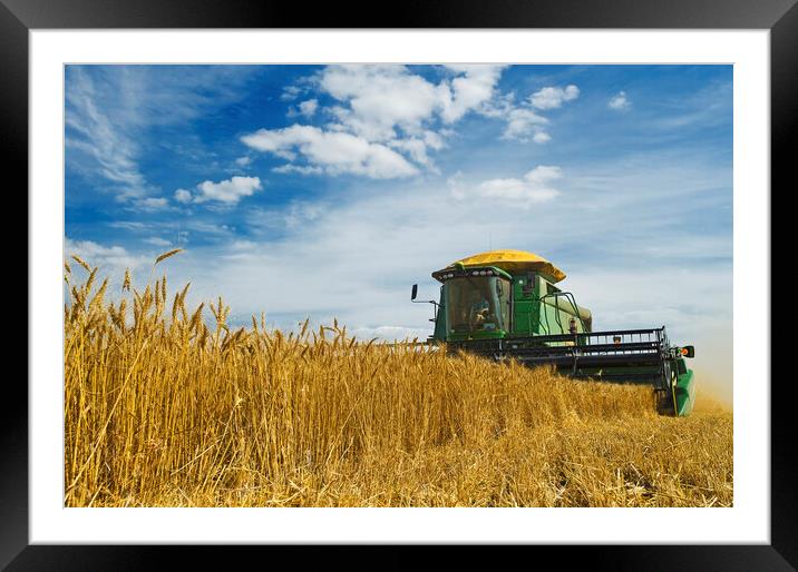 Wheat Harvest Framed Mounted Print by Dave Reede