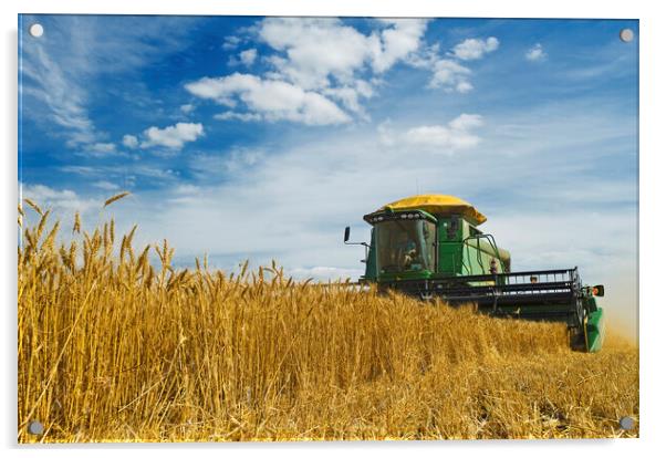 Wheat Harvest Acrylic by Dave Reede