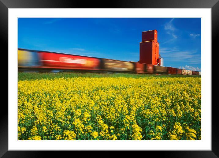 Rail Cars on the Move Framed Mounted Print by Dave Reede