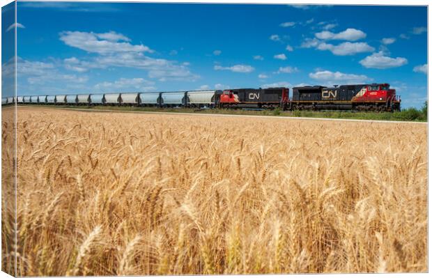 train carrying hopper cars passes a mature spring wheat field Canvas Print by Dave Reede