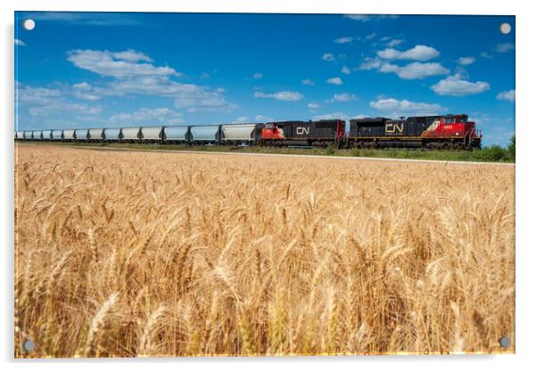train carrying hopper cars passes a mature spring wheat field Acrylic by Dave Reede