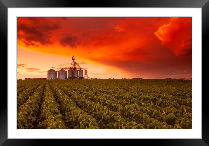 Sunset Over Farmland Framed Mounted Print by Dave Reede