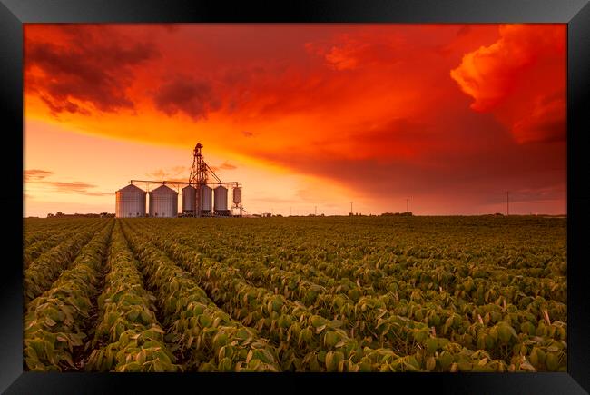 Sunset Over Farmland Framed Print by Dave Reede