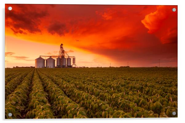 Sunset Over Farmland Acrylic by Dave Reede