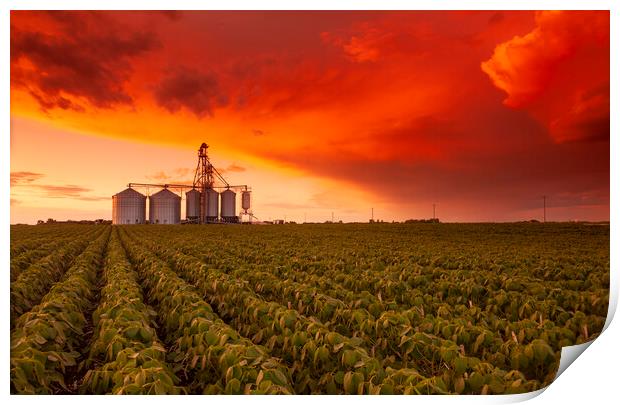 Sunset Over Farmland Print by Dave Reede