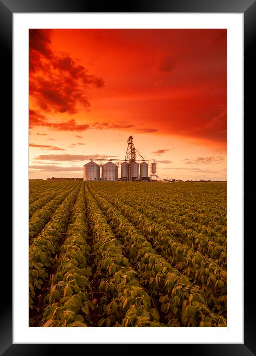 Sunset Over Farmland Framed Mounted Print by Dave Reede