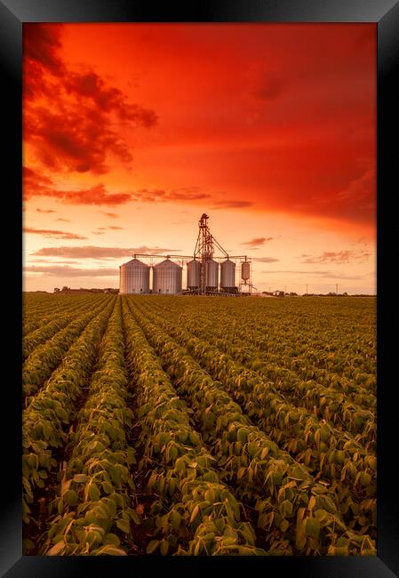Sunset Over Farmland Framed Print by Dave Reede
