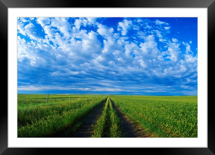 Backroad Framed Mounted Print by Dave Reede