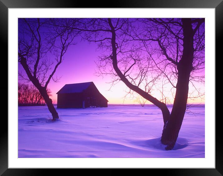 Winter Barn Framed Mounted Print by Dave Reede