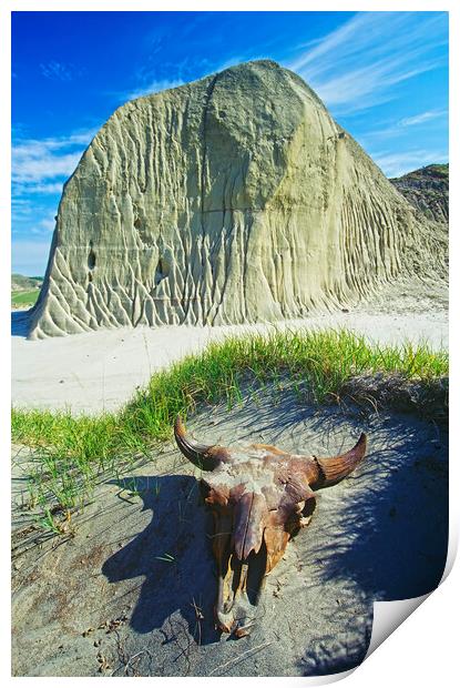 Big Muddy Badlands Print by Dave Reede