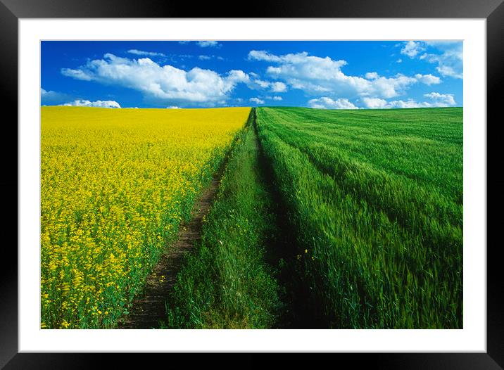 Outdoor field Framed Mounted Print by Dave Reede