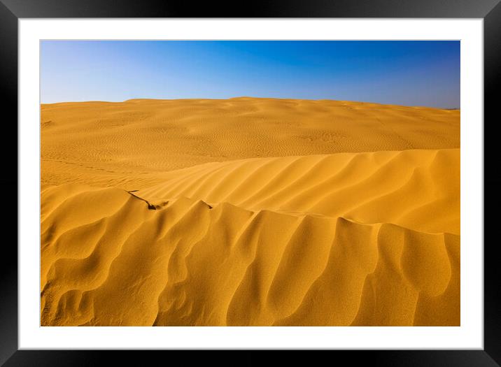 the Great Sandhills Framed Mounted Print by Dave Reede