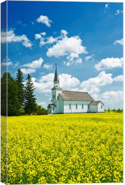 bloom stage canola field with historic Chapelle St. Thérèse church in the background Canvas Print by Dave Reede