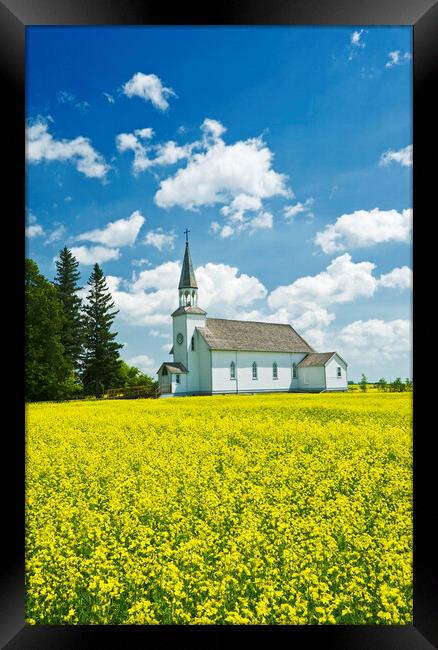bloom stage canola field with historic Chapelle St. Thérèse church in the background Framed Print by Dave Reede