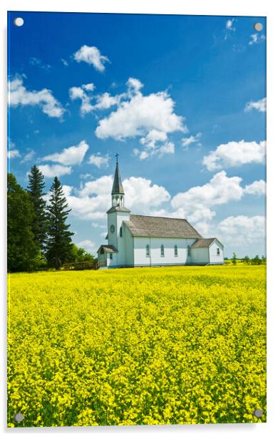 bloom stage canola field with historic Chapelle St. Thérèse church in the background Acrylic by Dave Reede