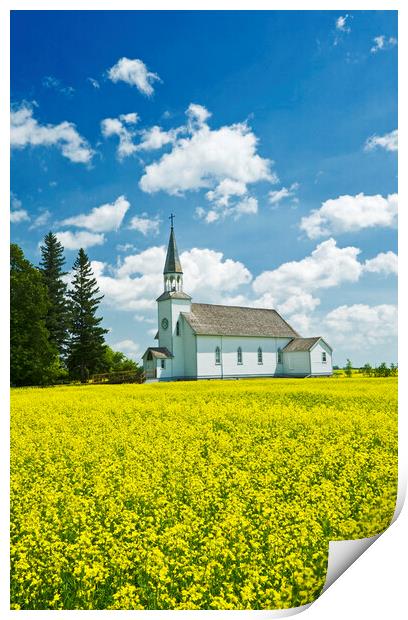 bloom stage canola field with historic Chapelle St. Thérèse church in the background Print by Dave Reede