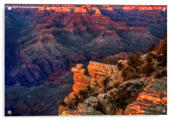 Grand Canyon National Park  Acrylic by Derek Daniel
