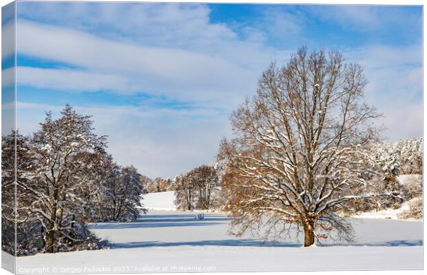 Countryside after heavy snowfall in central Europe Canvas Print by Sergey Fedoskin
