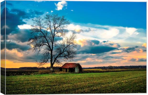 An old hut in the field Canvas Print by Dejan Travica