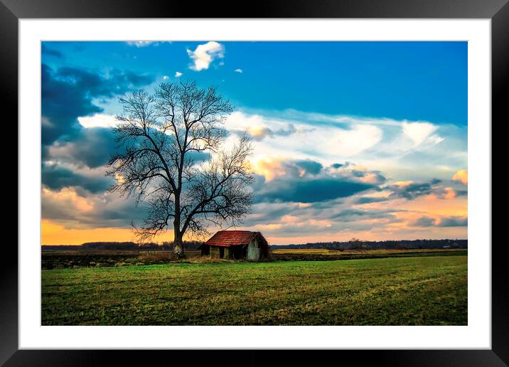An old hut in the field Framed Mounted Print by Dejan Travica