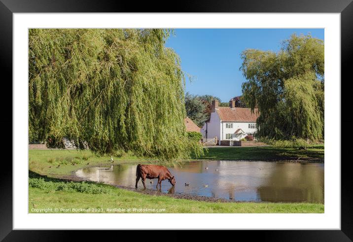 Nun Monkton Village Pond North Yorkshire  Framed Mounted Print by Pearl Bucknall