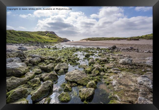 Mossy rocks on Broad Haven beach South Pembrokeshire Framed Print by Kevin White