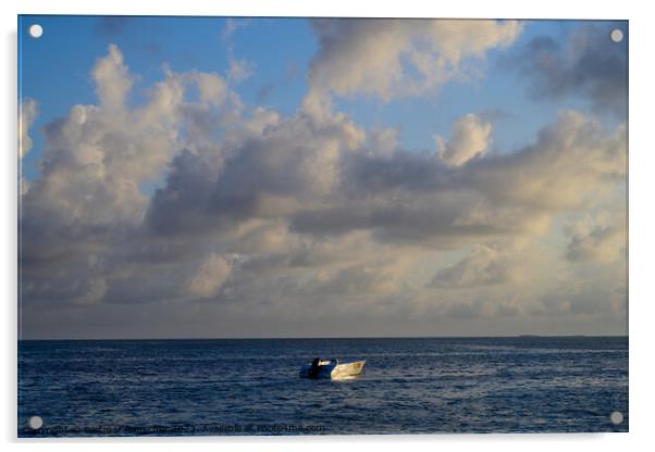 Pleasure Boat at Preskil Island Beach in Mauritius Acrylic by Dietmar Rauscher