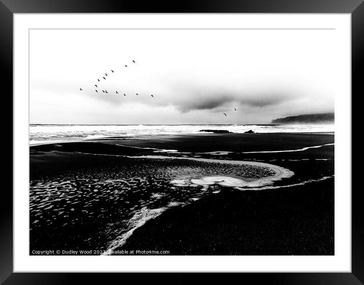 Seagulls1 Framed Mounted Print by Dudley Wood