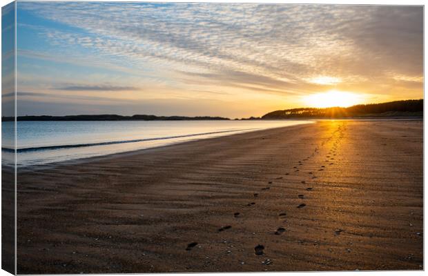 Footprints in the sand at Newborough Canvas Print by Andrew Kearton