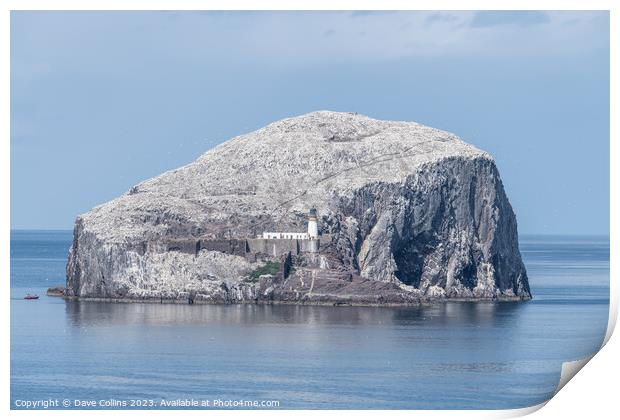 Bass Rock Lighthouse and Nature Reserve in the Firth of Forth, Bass Rock, Scotland Print by Dave Collins