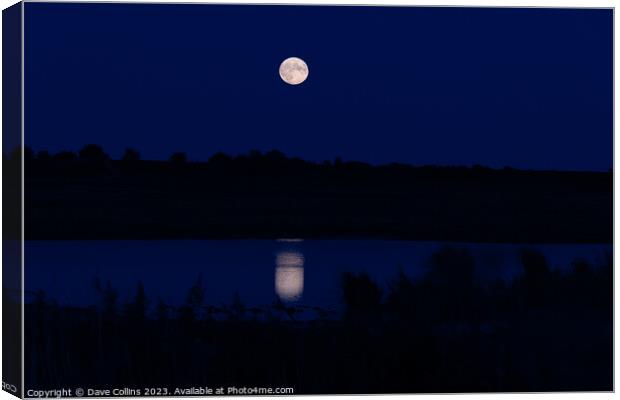 Moon Rising over and reflected in Frampton Marsh, Lincolnshire, England Canvas Print by Dave Collins