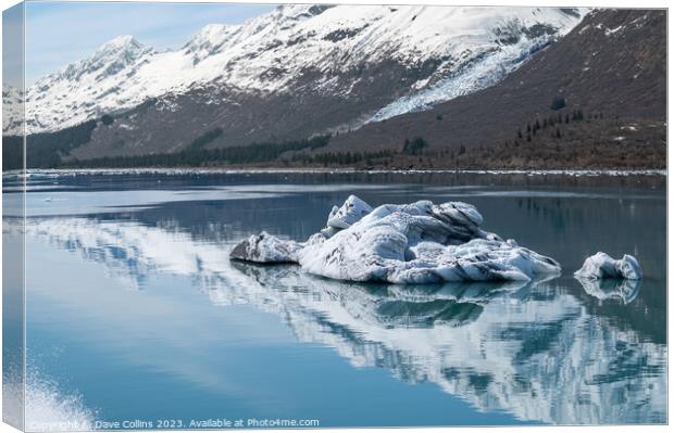 Strangely shaped growlers (little icebergs) with reflections floating in Prince William Sound in Alaska, USA Canvas Print by Dave Collins