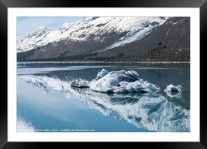 Strangely shaped growlers (little icebergs) with reflections floating in Prince William Sound in Alaska, USA Framed Mounted Print by Dave Collins