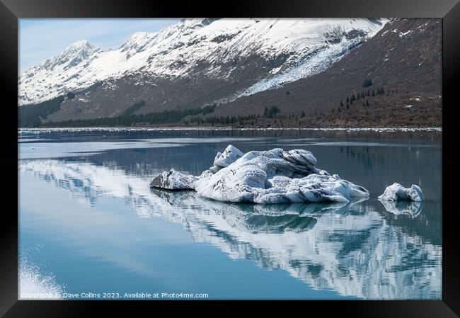 Strangely shaped growlers (little icebergs) with reflections floating in Prince William Sound in Alaska, USA Framed Print by Dave Collins