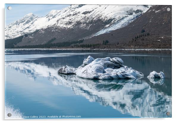 Strangely shaped growlers (little icebergs) with reflections floating in Prince William Sound in Alaska, USA Acrylic by Dave Collins