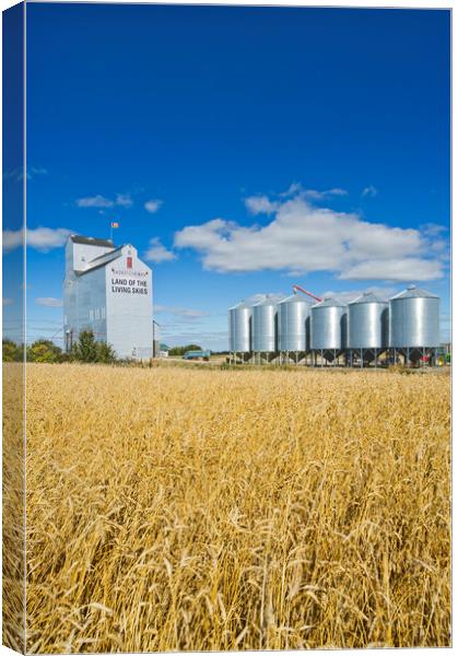 grain elevator and mature wheat field Canvas Print by Dave Reede