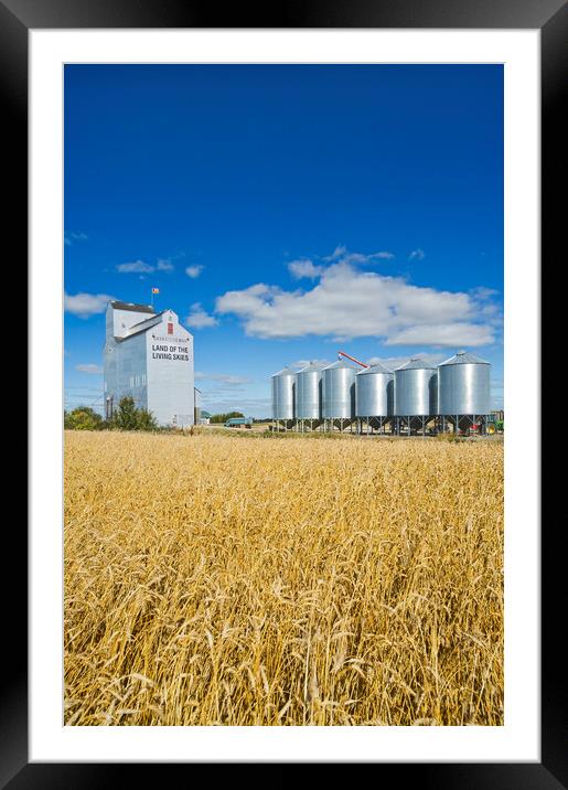 grain elevator and mature wheat field Framed Mounted Print by Dave Reede