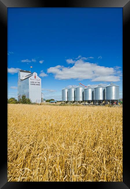 grain elevator and mature wheat field Framed Print by Dave Reede