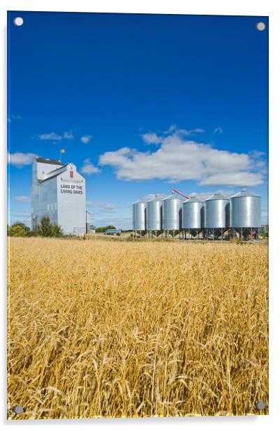 grain elevator and mature wheat field Acrylic by Dave Reede