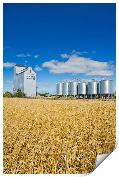 grain elevator and mature wheat field Print by Dave Reede