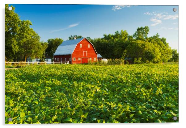Soybean Field and Red Barn Acrylic by Dave Reede