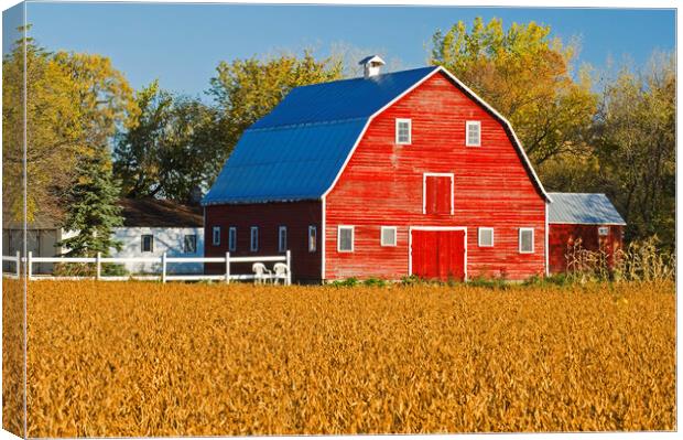 Mature Soybean Field in Front of Red Barn Canvas Print by Dave Reede