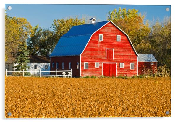 Mature Soybean Field in Front of Red Barn Acrylic by Dave Reede