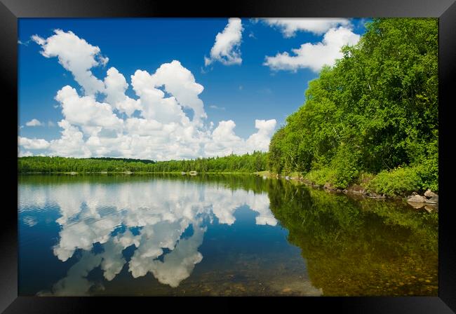 Cumulus Cloud Reflection Framed Print by Dave Reede