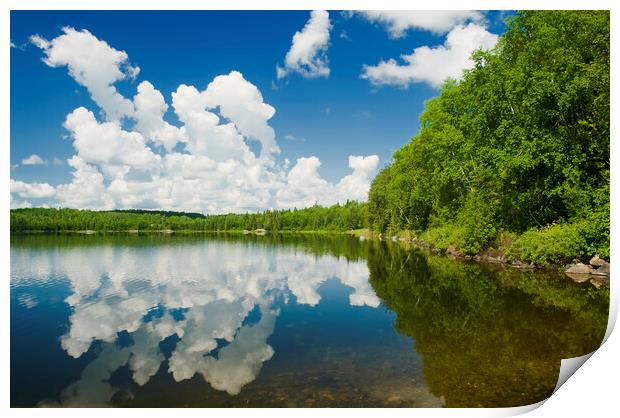 Cumulus Cloud Reflection Print by Dave Reede