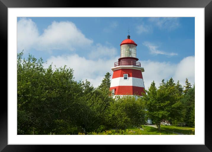 Seal Island Lighthouse Framed Mounted Print by Dave Reede